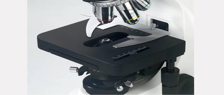 Lab Fluorescence Biological Microscope China