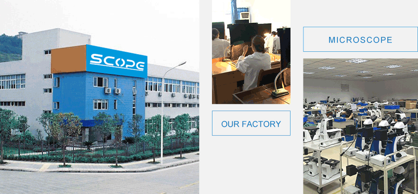 Our-Factory