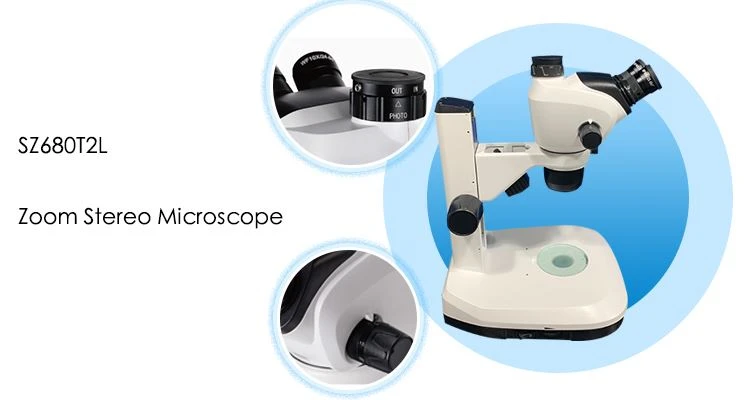 Professional Digital Zoom Stereo Microscope