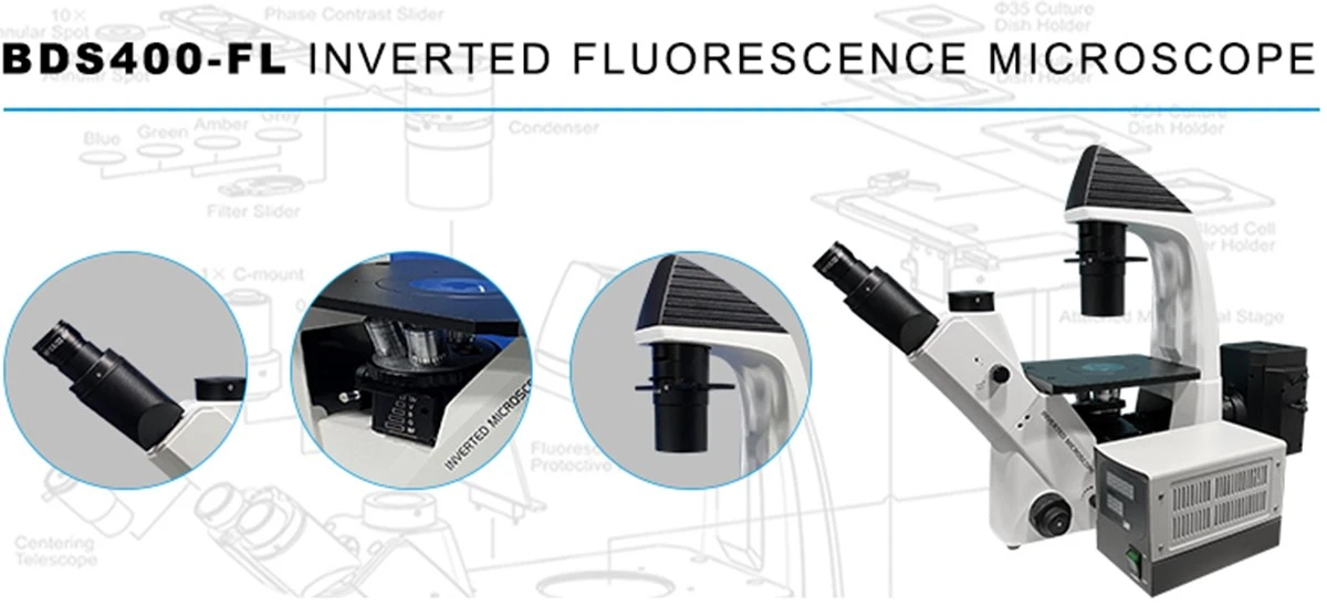 mercury lamp fluorescence microscope inverted trinocular microscope