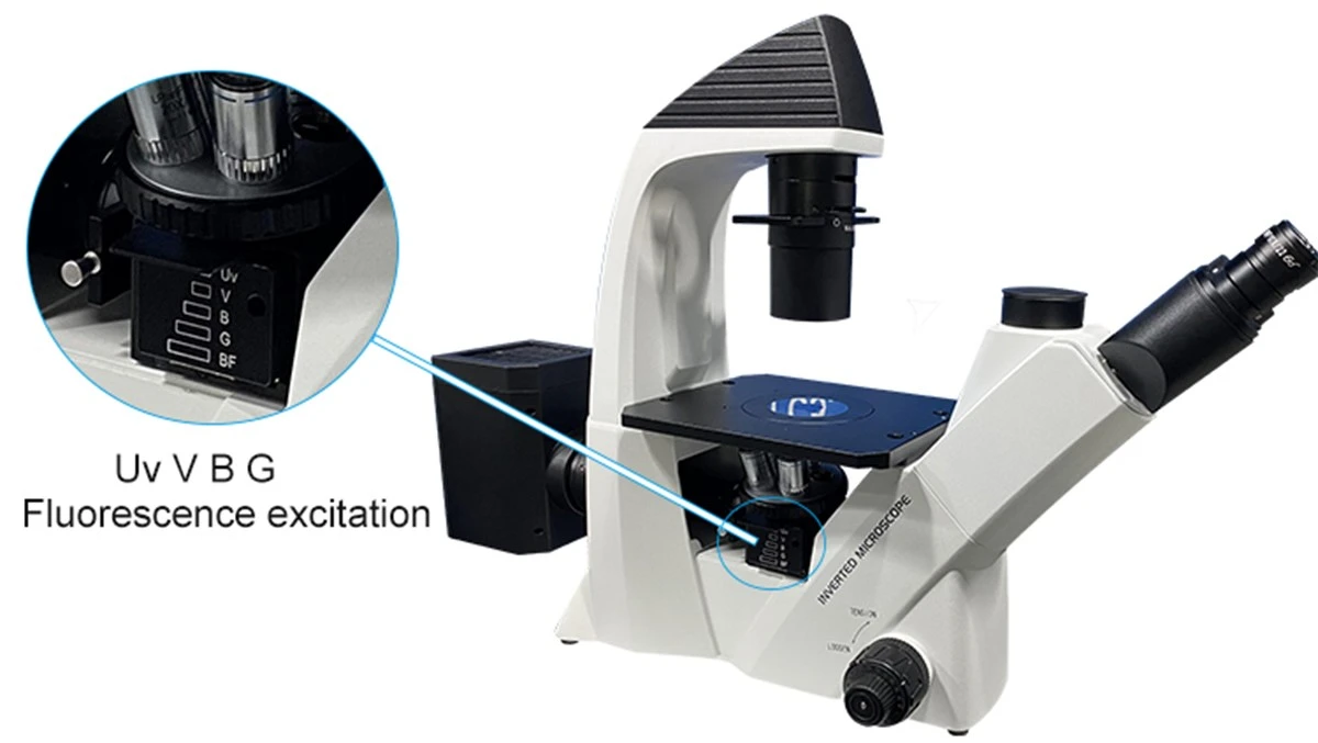 mercury lamp inverted fluorescence microscope for sale